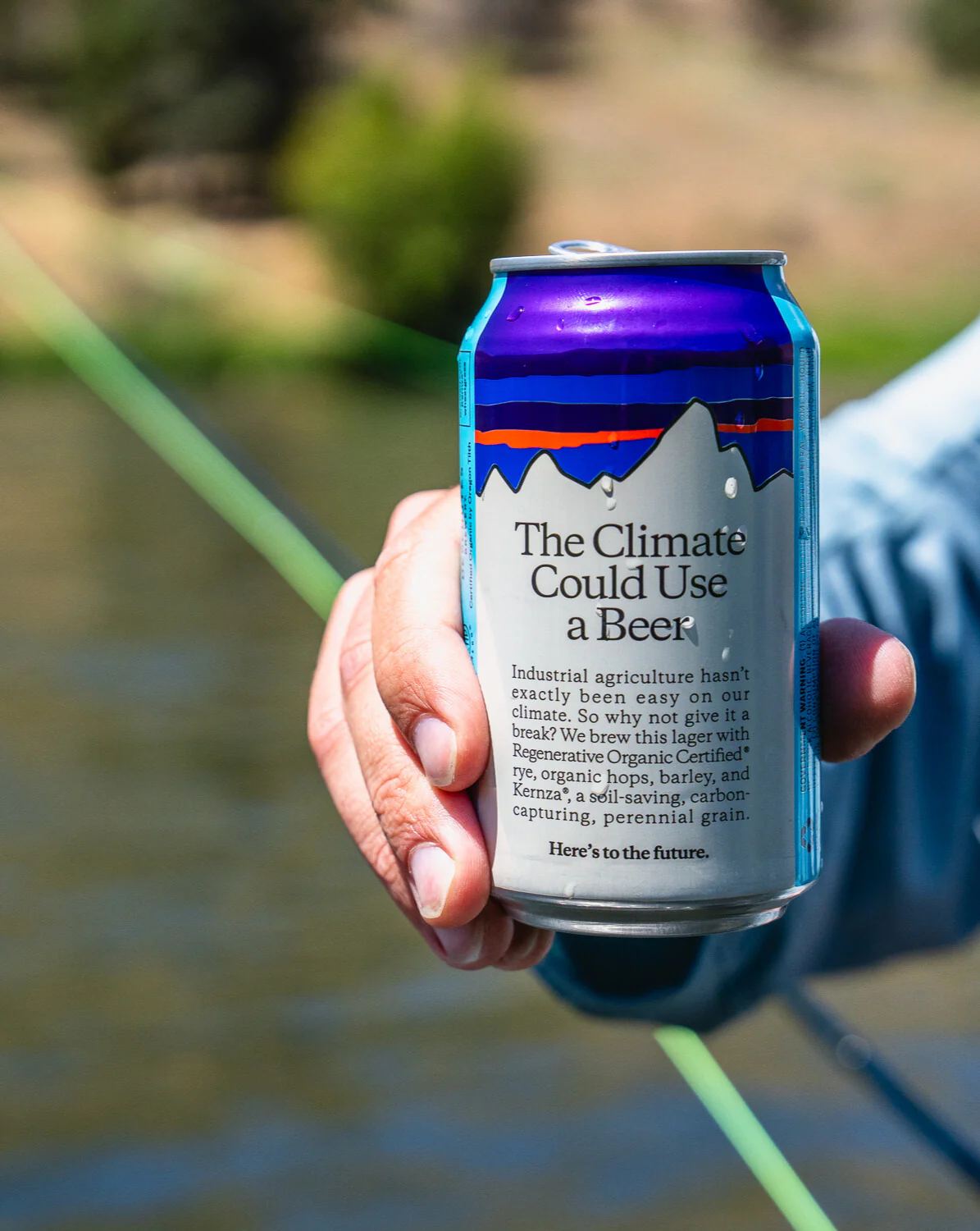 Patagonia Provisions Organic Lager - Image 3